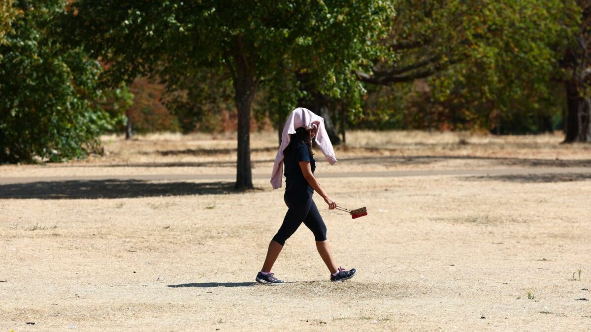 A walker protects themselves from the sun on the scorched grass of Hyde Park, in central London.