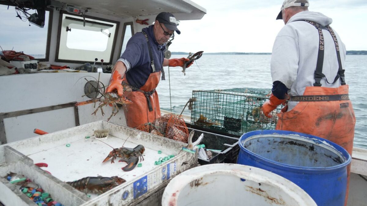 Diesel prices are so high that commercial fishermen sometimes can’t even afford to leave the dock. ‘It’s huge. It’s crazy. Thank you, Donald Trump’